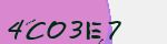 Security Code