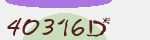 Security Code