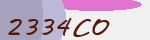Security Code